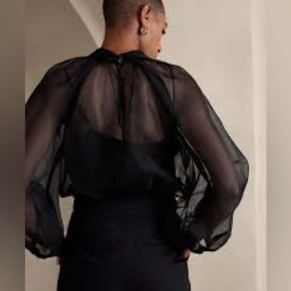 Banana Republic Mirage Silk Organza Sheer Top